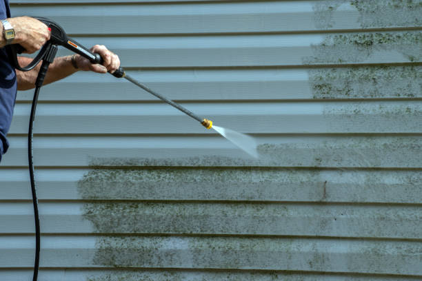 Best Solar Panel Cleaning  in Pea Ridge, FL